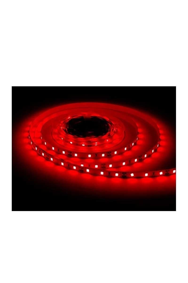 ACK 2835 Kırmızı 12V Şerit Led 120 Led/Metre AS01-02504