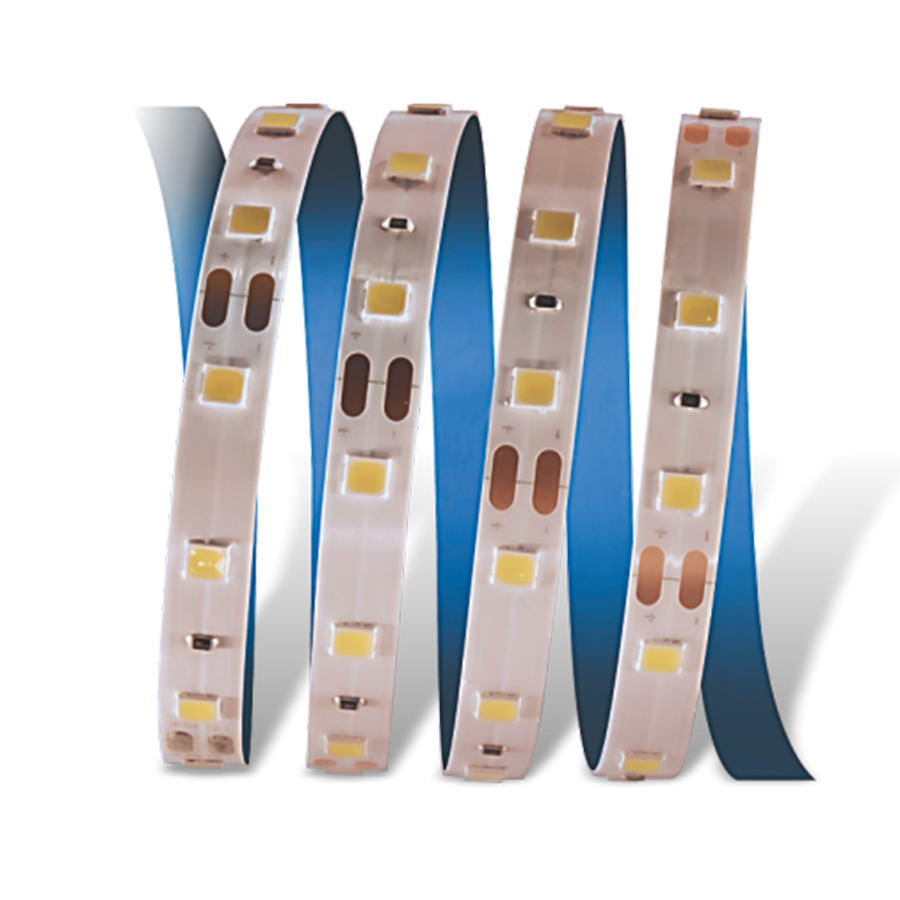 Cata 10 Çipli Şerit Led İç Mekan 12v MAVİ - CT-4484