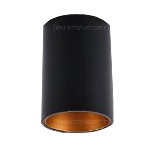 Cata Assos Siyah - Gold Sıva Üstü Dekoratif Armatürü CT-5418