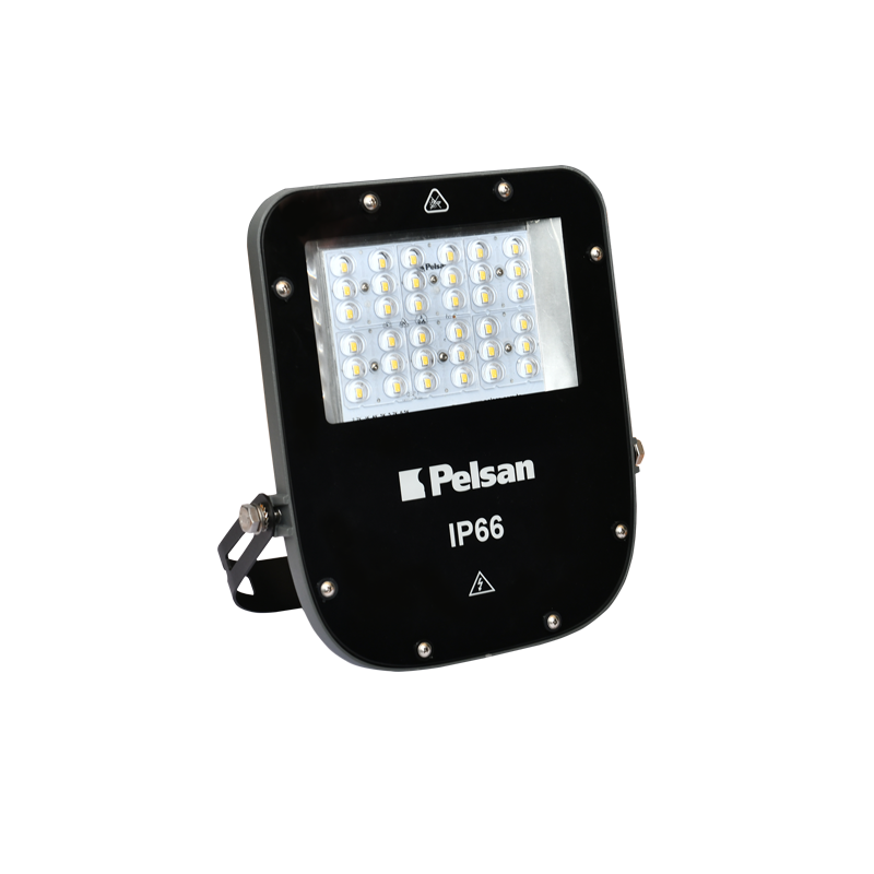 Pelsan Ria Med 100W 4000K IP66 Led Projektör - 111661